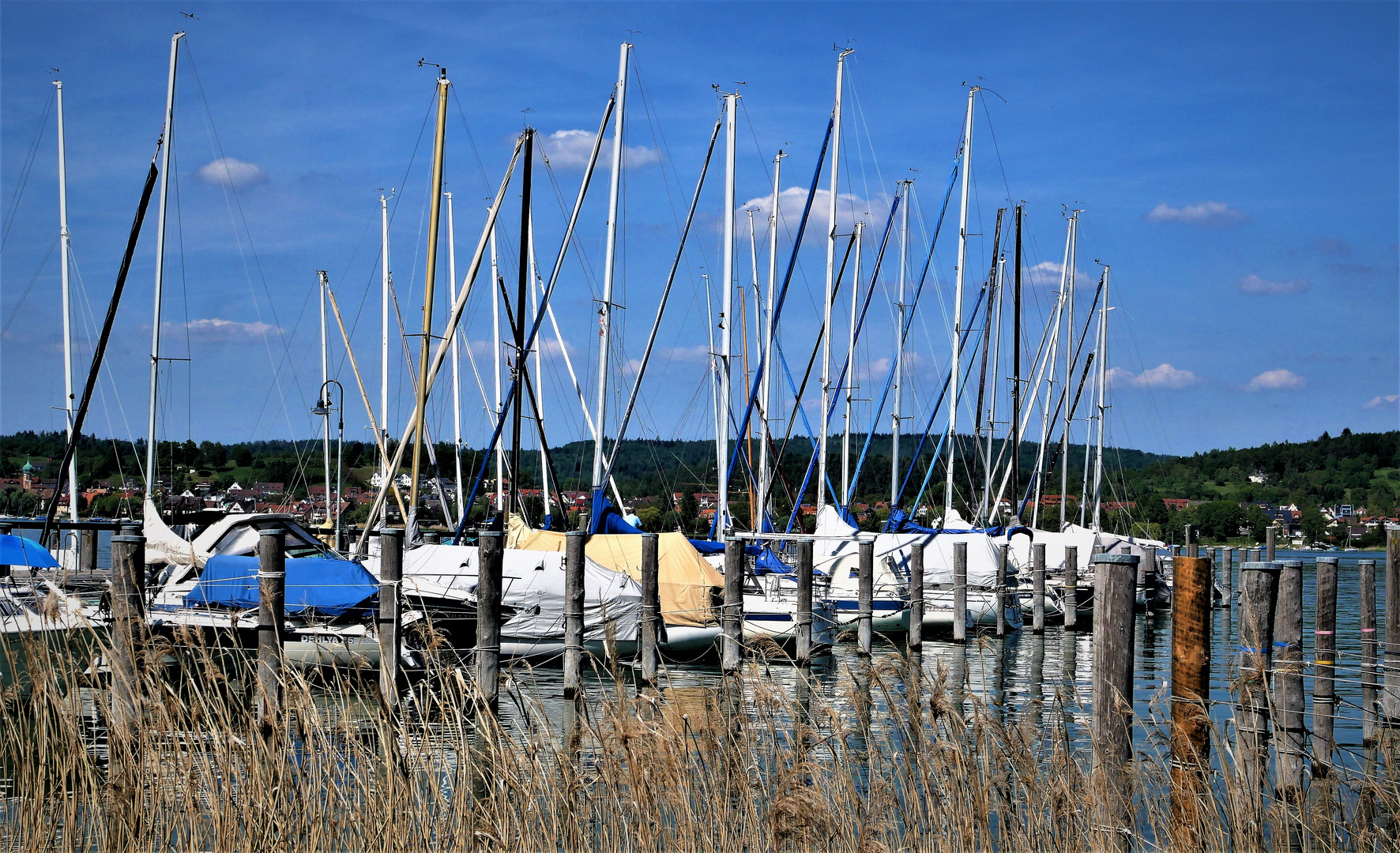 Reichenau - Der malerische Yachthafen von Mittelzell 