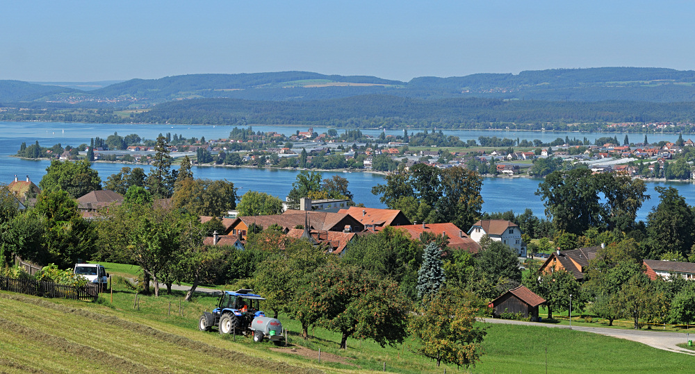 Reichenau I