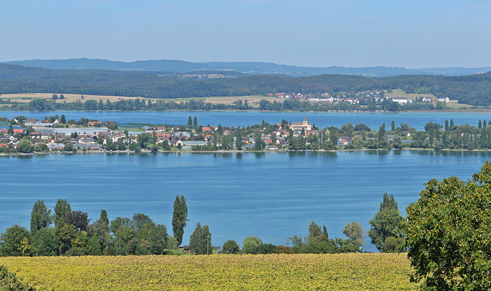 Reichenau III