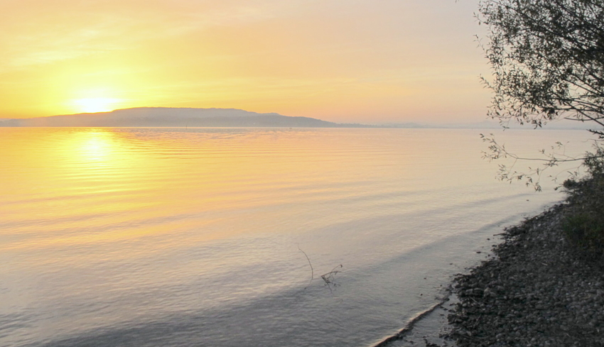 Reichenau im Bodensee