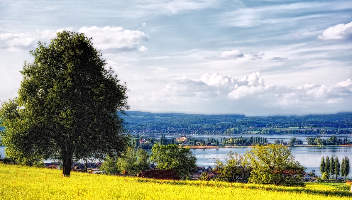 Reichenau und Gnadensee