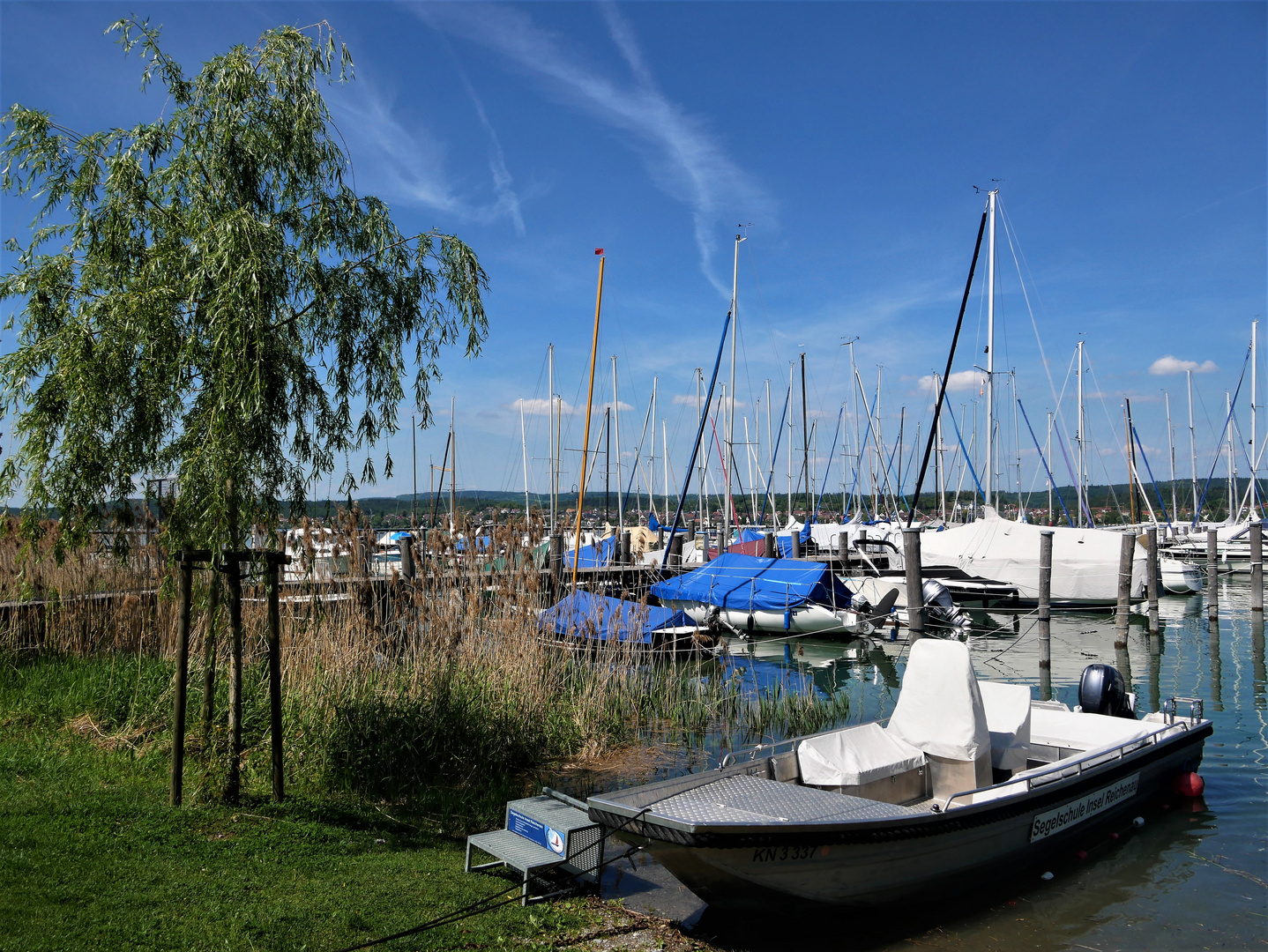 Reichenau Yachthafen - eine weitere malerische Impression