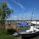 Reichenau Yachthafen - eine weitere malerische Impression