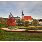 Reichenbach im Herbstkleid