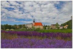 Reichenbach im Vogtland