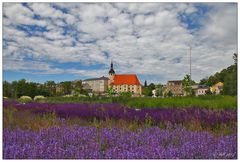 Reichenbach im Vogtland