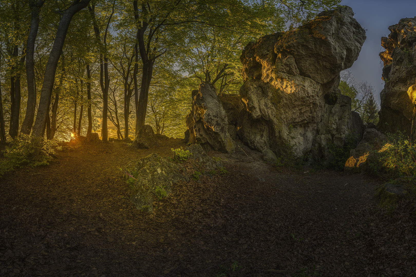 Reichenbacher Steine