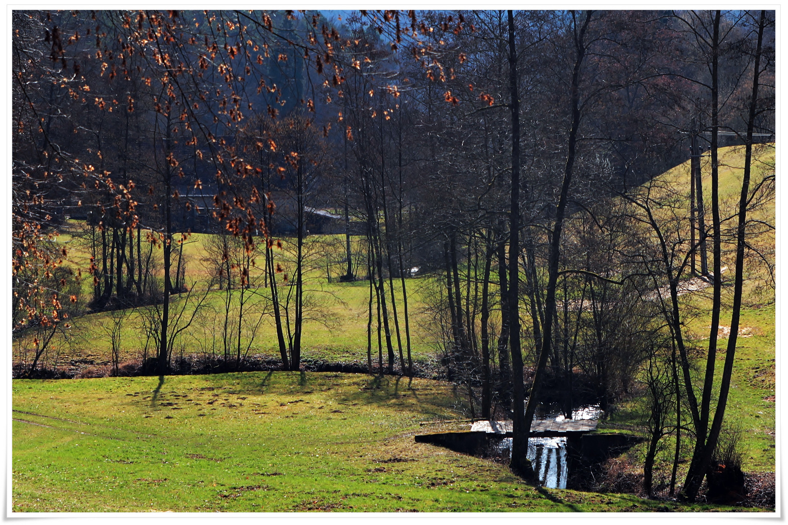 Reichenbachtal