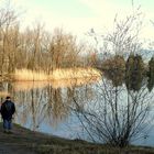 Reichenburg = Der Teich / L'etang / El estanque...03