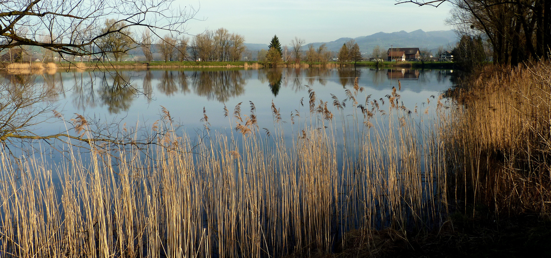 Reichenburg = Der Teich / L'etang / El estanque...04