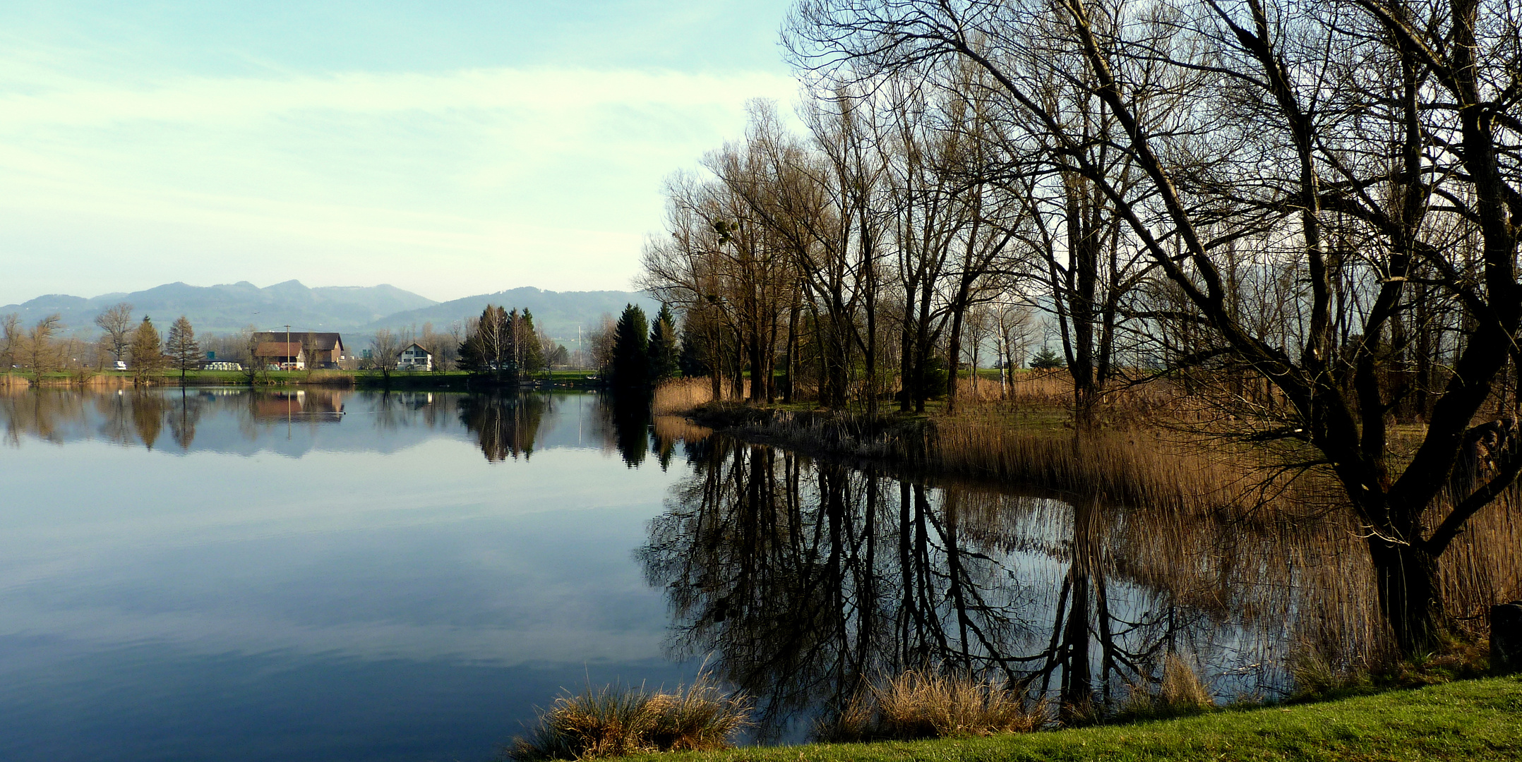 Reichenburg = Der Teich / L'etang / El estanque...05