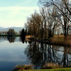 Reichenburg = Der Teich / L'etang / El estanque...05