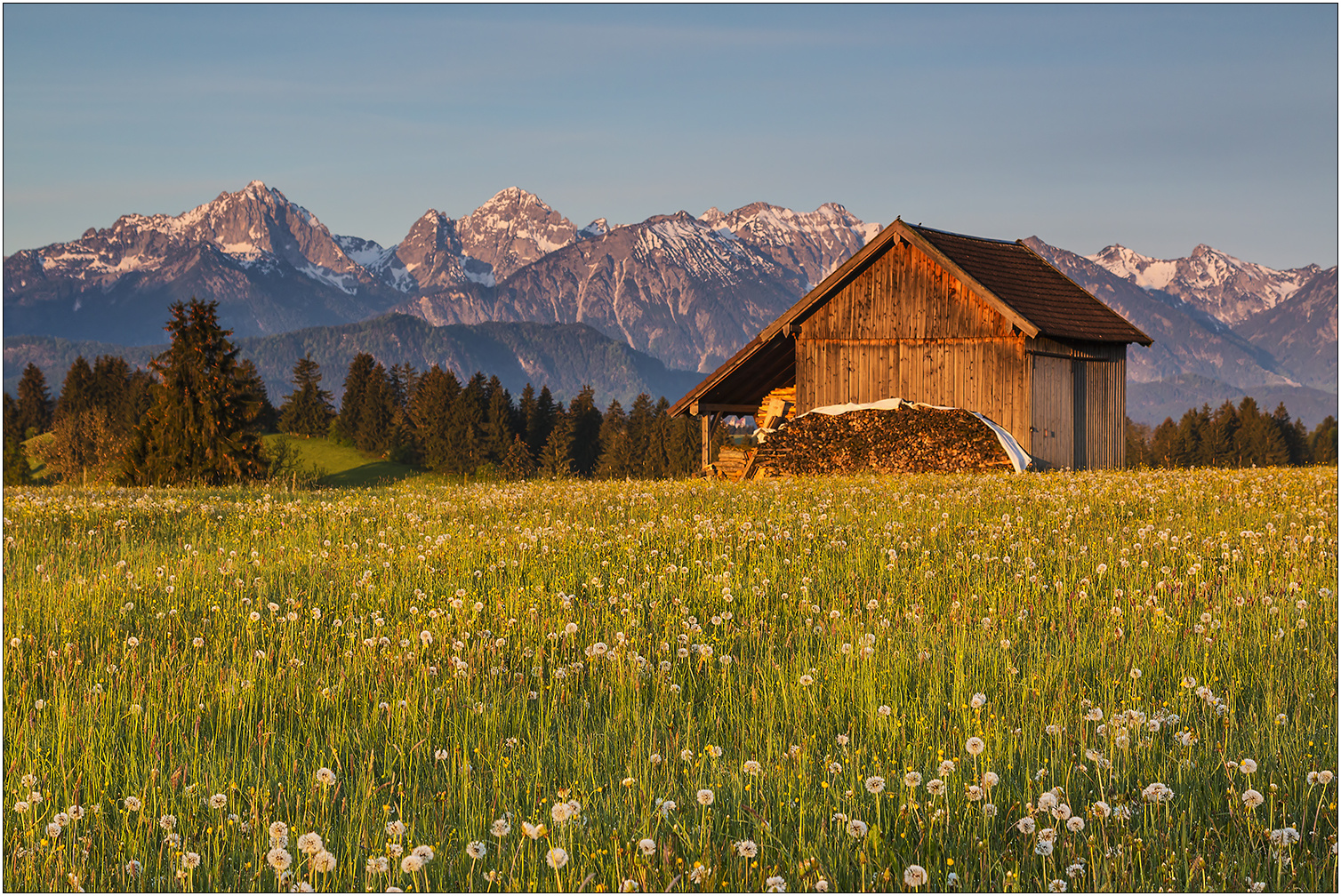 Reichlich Holz vor der Hütte