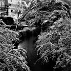 Reichlich Schnee im Jahre 2010 - Winter an der Aa in Münster