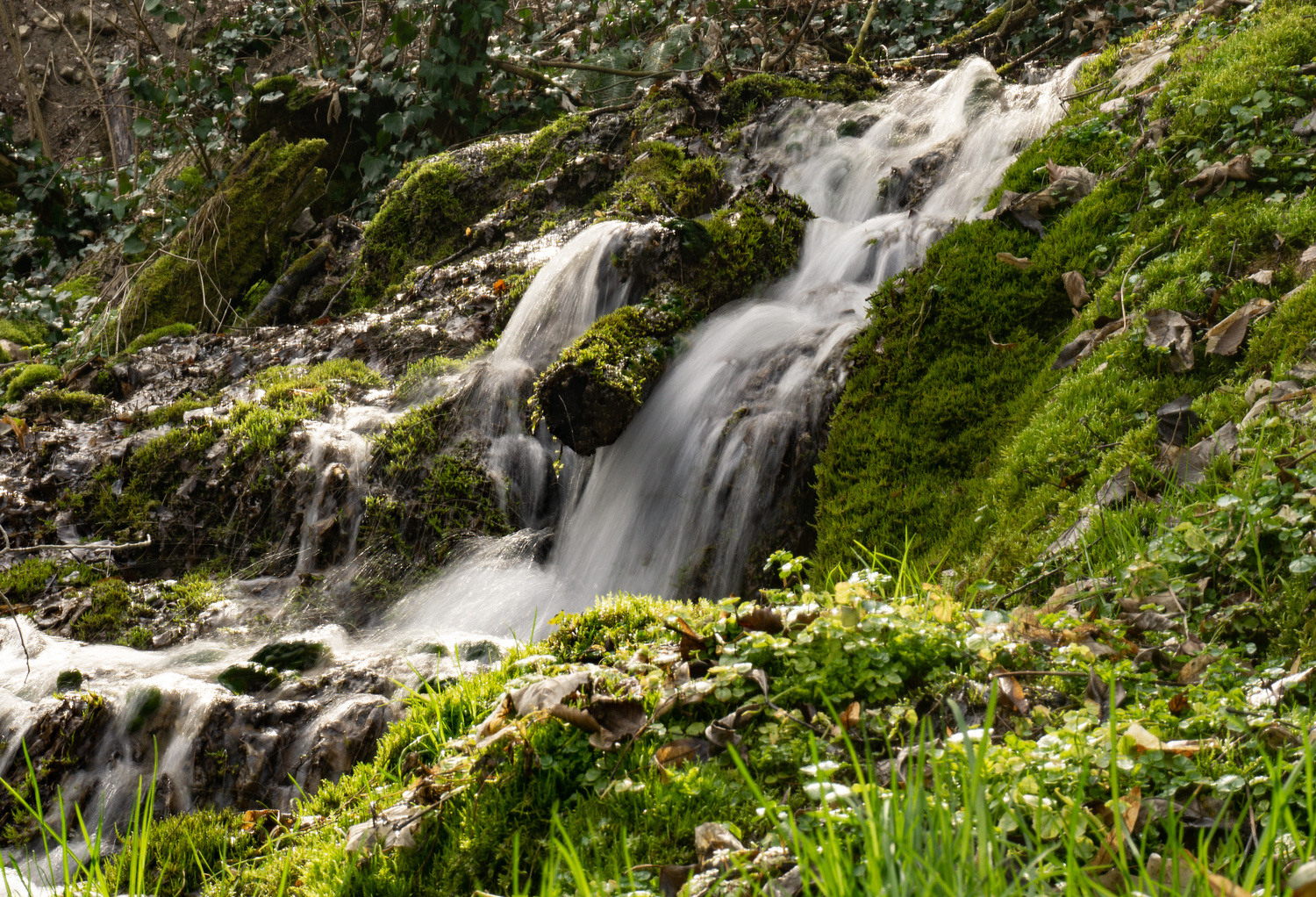 reichlich Wasser