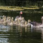 Reichliches Kinderglück