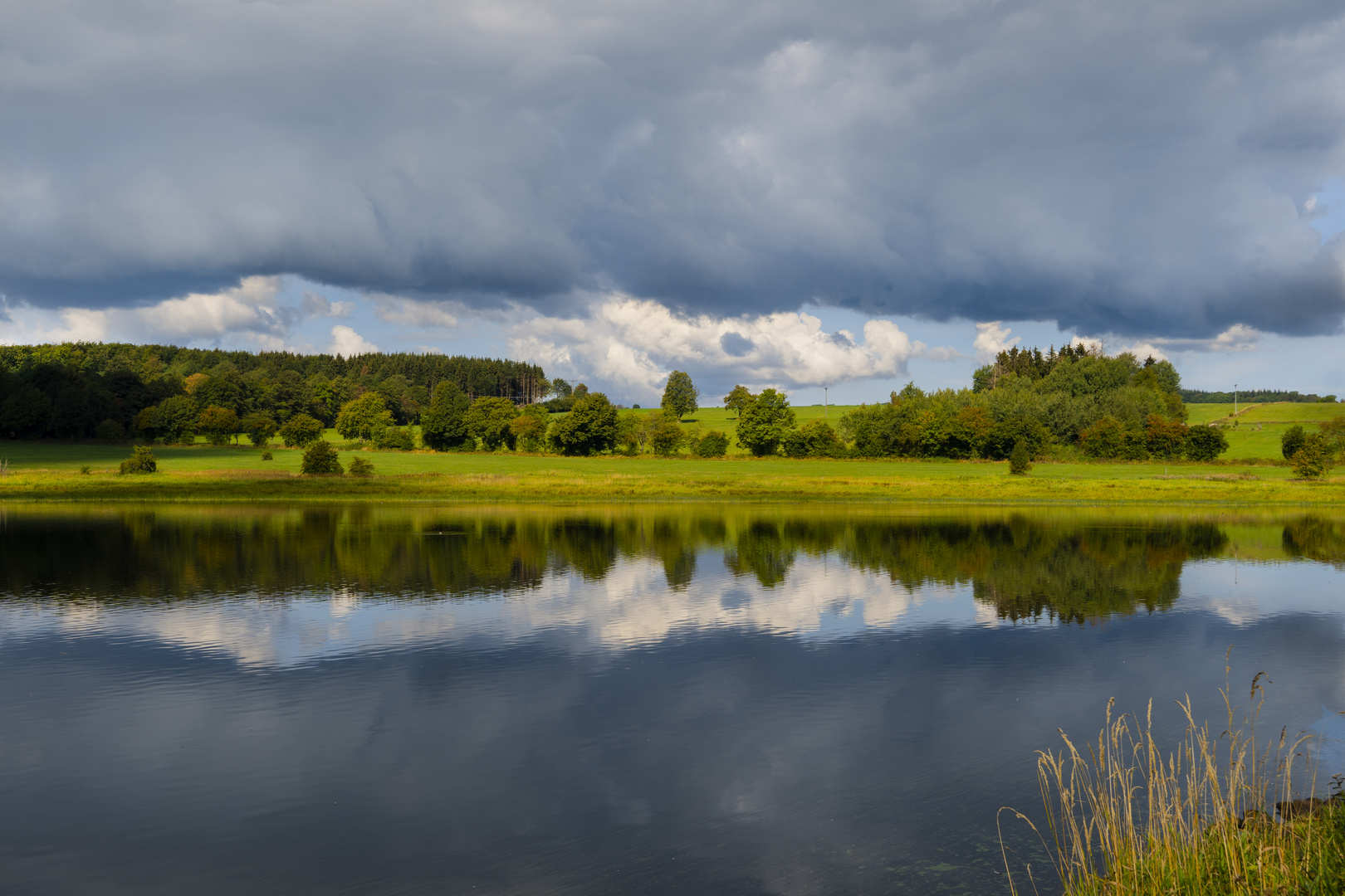 Reichloser Teich Foto & Bild teich, natur, see Bilder auf