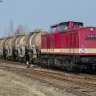 Reichsbahn-Fotogüterzug