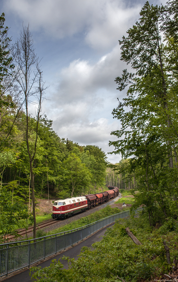 Reichsbahndiesel in der Hainleite I