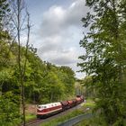 Reichsbahndiesel in der Hainleite I