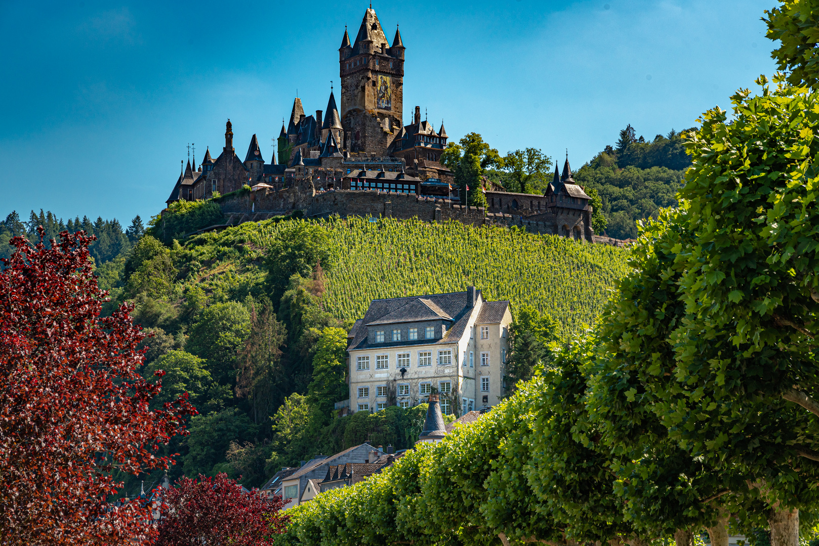 Reichsburg Cochem (3 von 3)