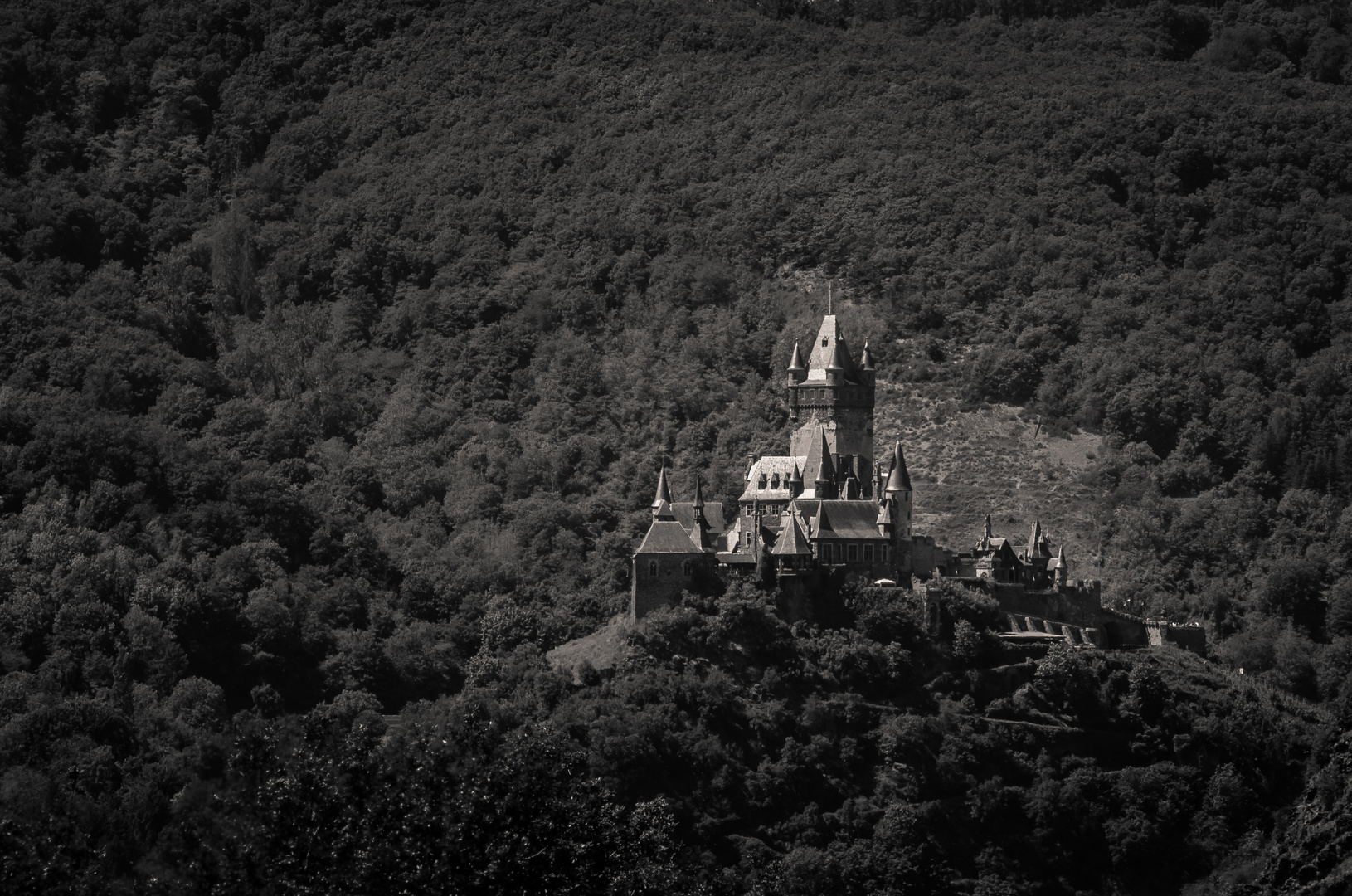 Reichsburg im Licht bw