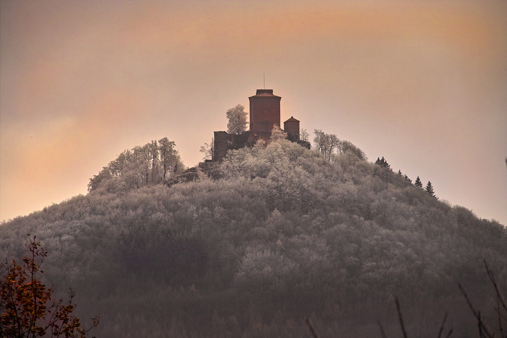 Reichsburg Trifels bei Annweiler