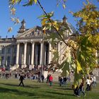 Reichstag durch Baumgeäst