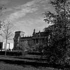 Reichstag hinter den Büschen