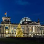 Reichstagsgebäude mit Weihnachtsbaum bei Nacht