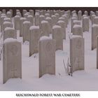Reichswald Forest War Cemetery --- Bild 2
