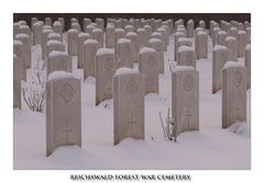 Reichswald Forest War Cemetery --- Bild 2