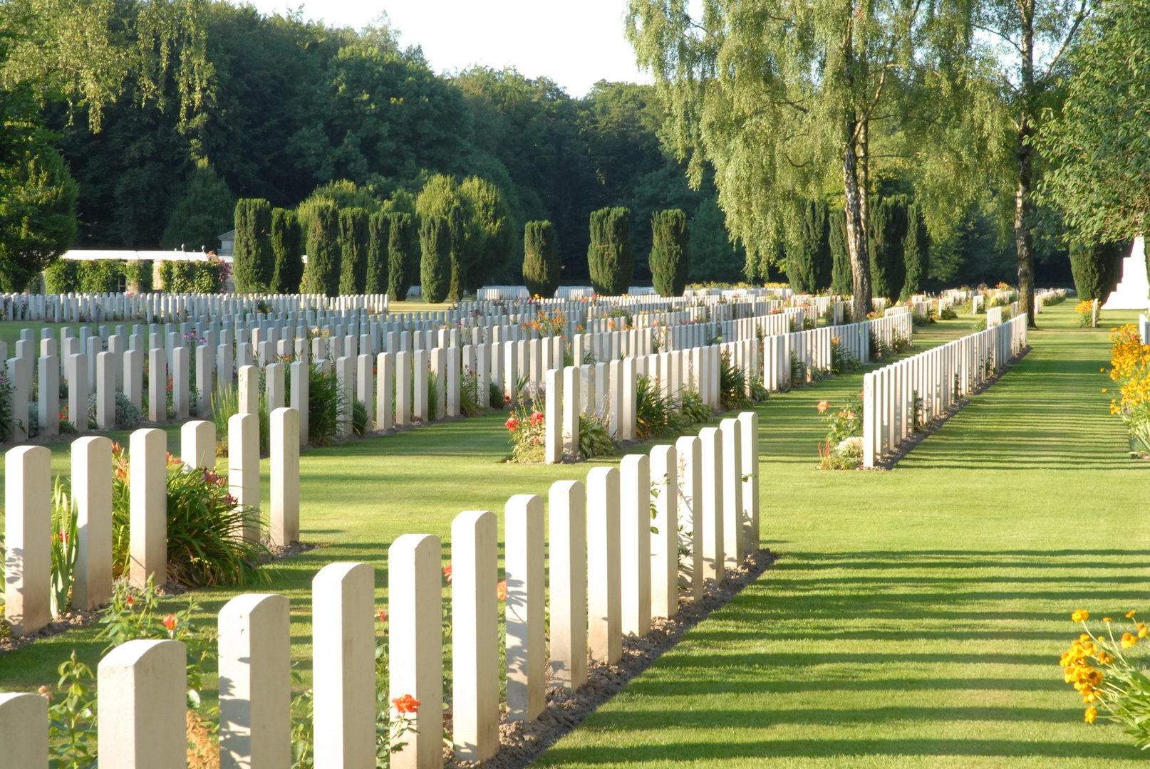 Reichswald-Schlacht 1945: Die alliierten Toten