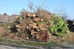 Reicht das Holz für den Zaun 