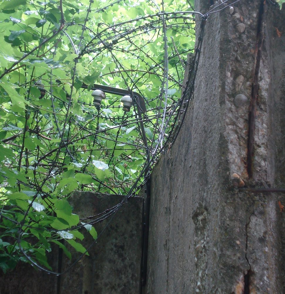 Reicht uns die Natur je die Hand ??