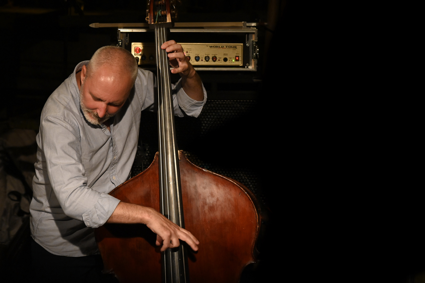 Reid Anderson Foto & Bild kunstfotografie & kultur, musik & konzert