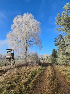 REIF für den Winter ;-)