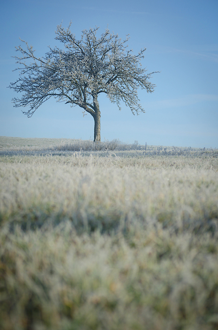 "Reif" für den Winter