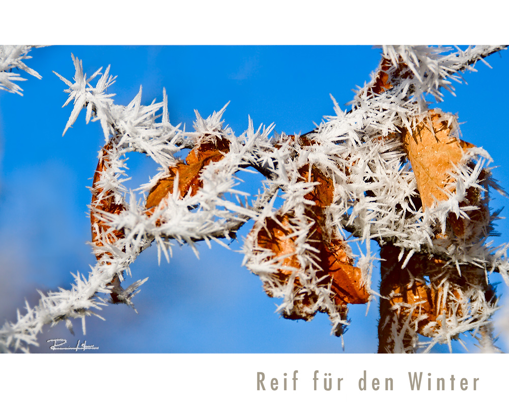 Reif für den Winter