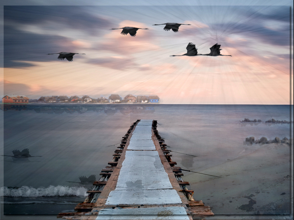 Reif für die Insel Foto & Bild | digiart- challenge, 073 ...