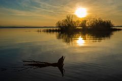 Reif für die Insel