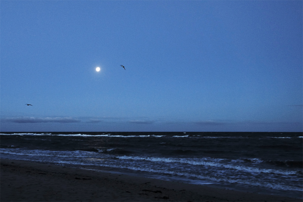 Reif für die Insel