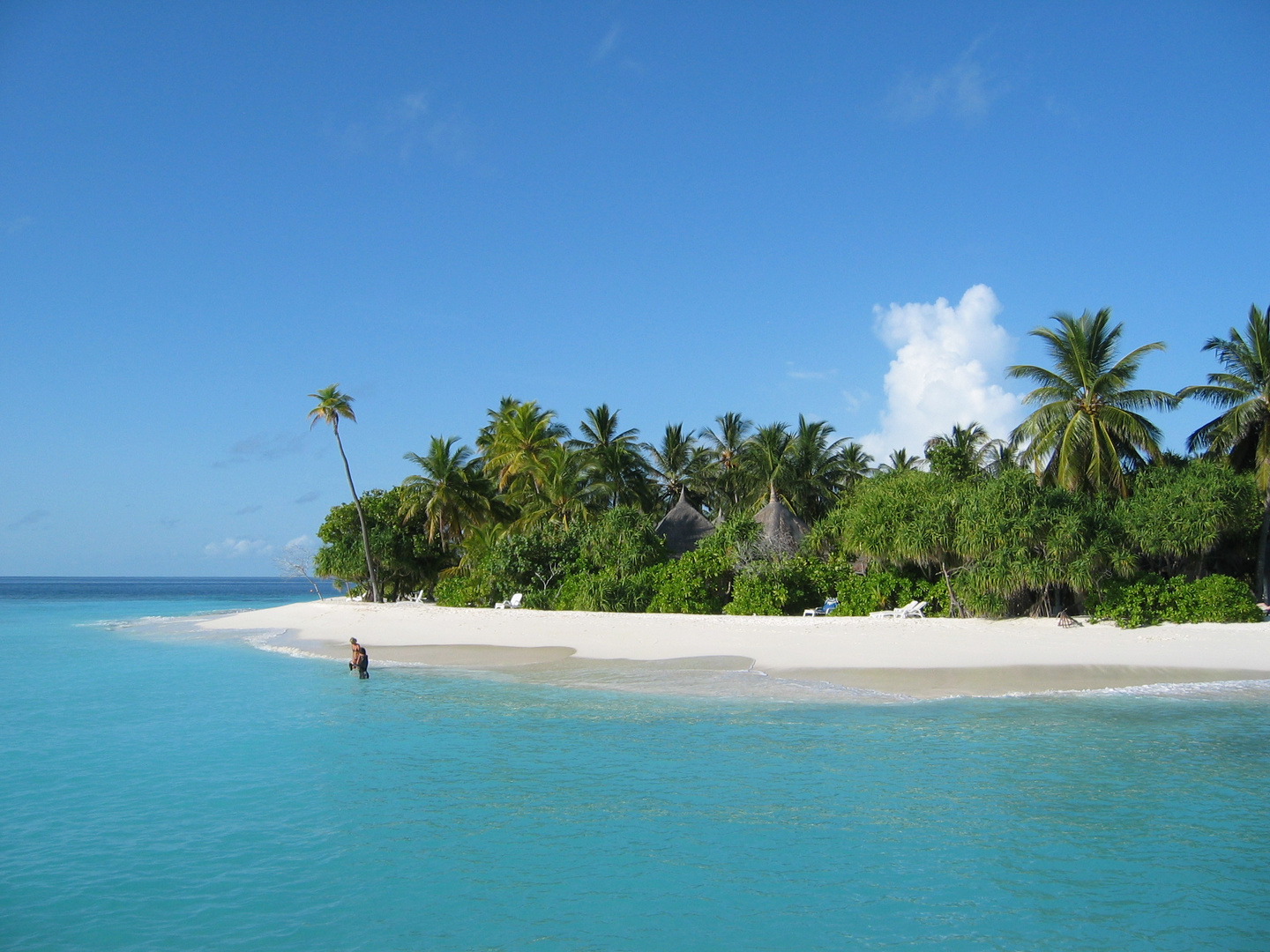 Reif für die Insel