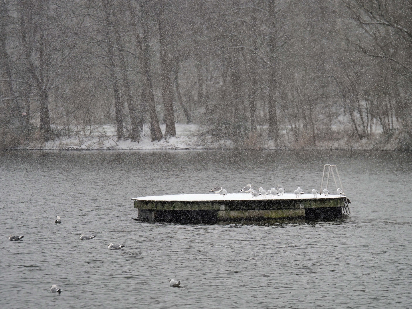 reif für die Insel