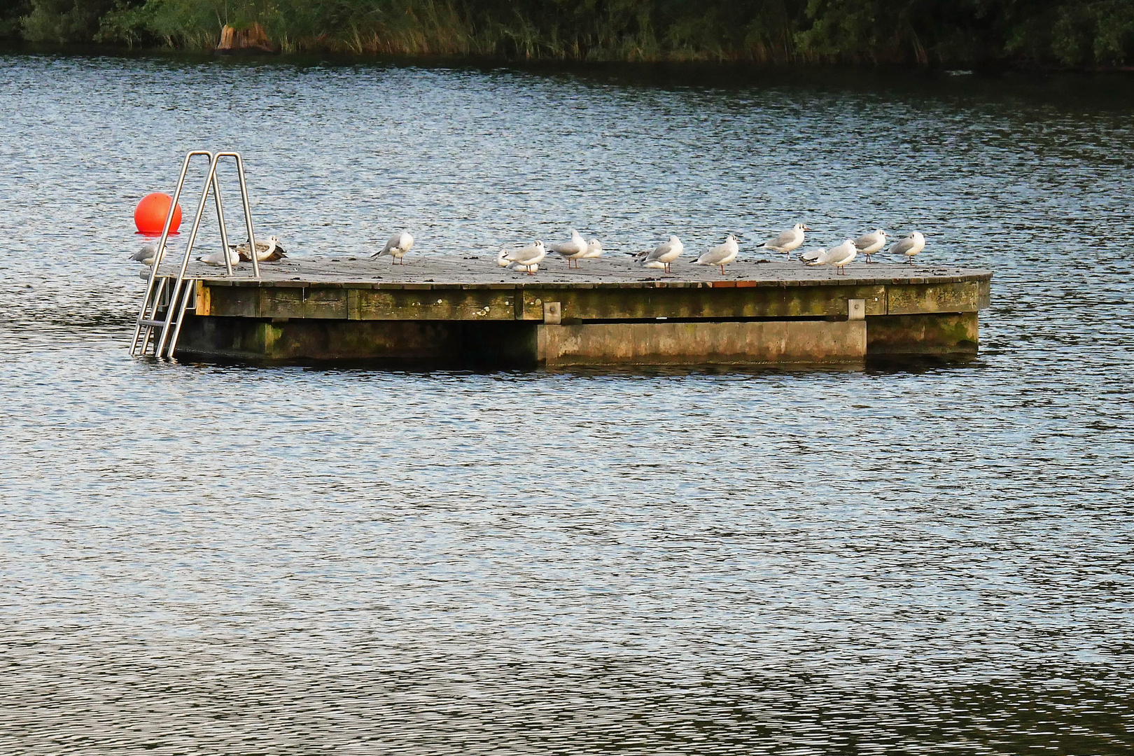 Reif für die Insel