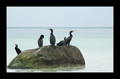 Reif für die Insel