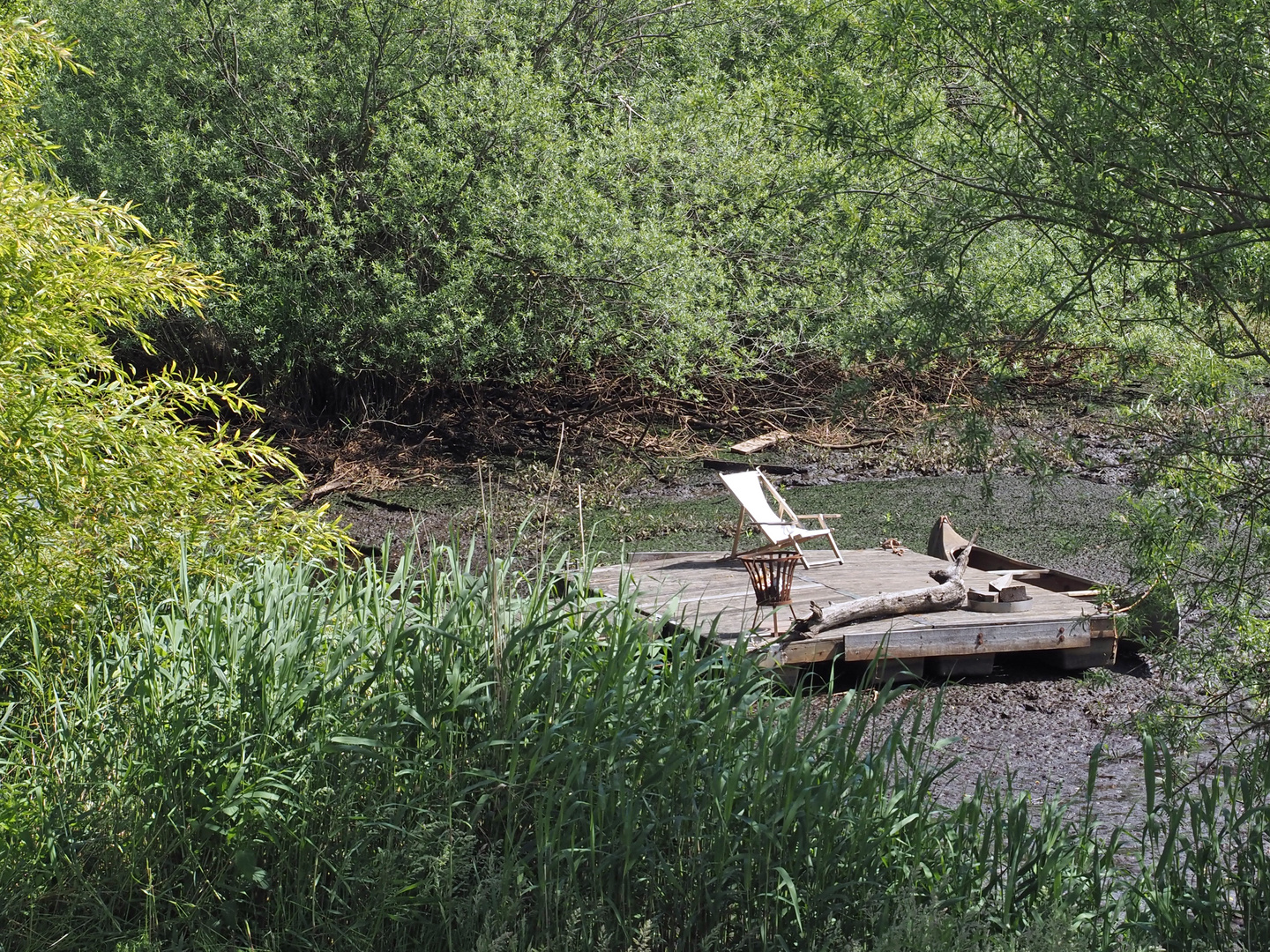 Reif für die INSEL