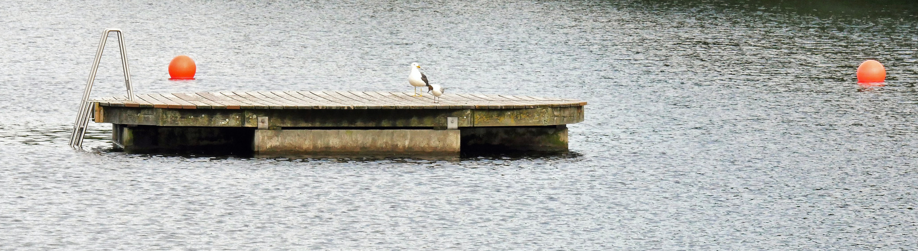 Reif für die Insel