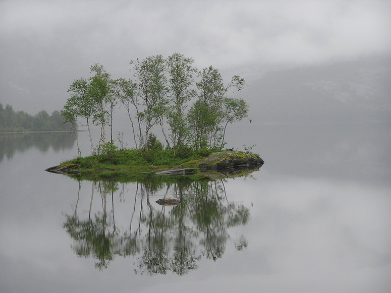 Reif für die Insel