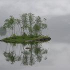 Reif für die Insel